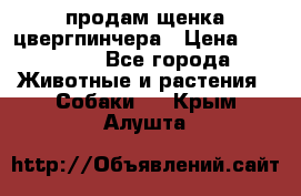 продам щенка цвергпинчера › Цена ­ 15 000 - Все города Животные и растения » Собаки   . Крым,Алушта